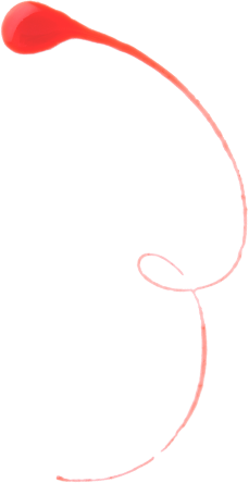 deco