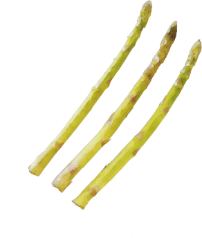 deco